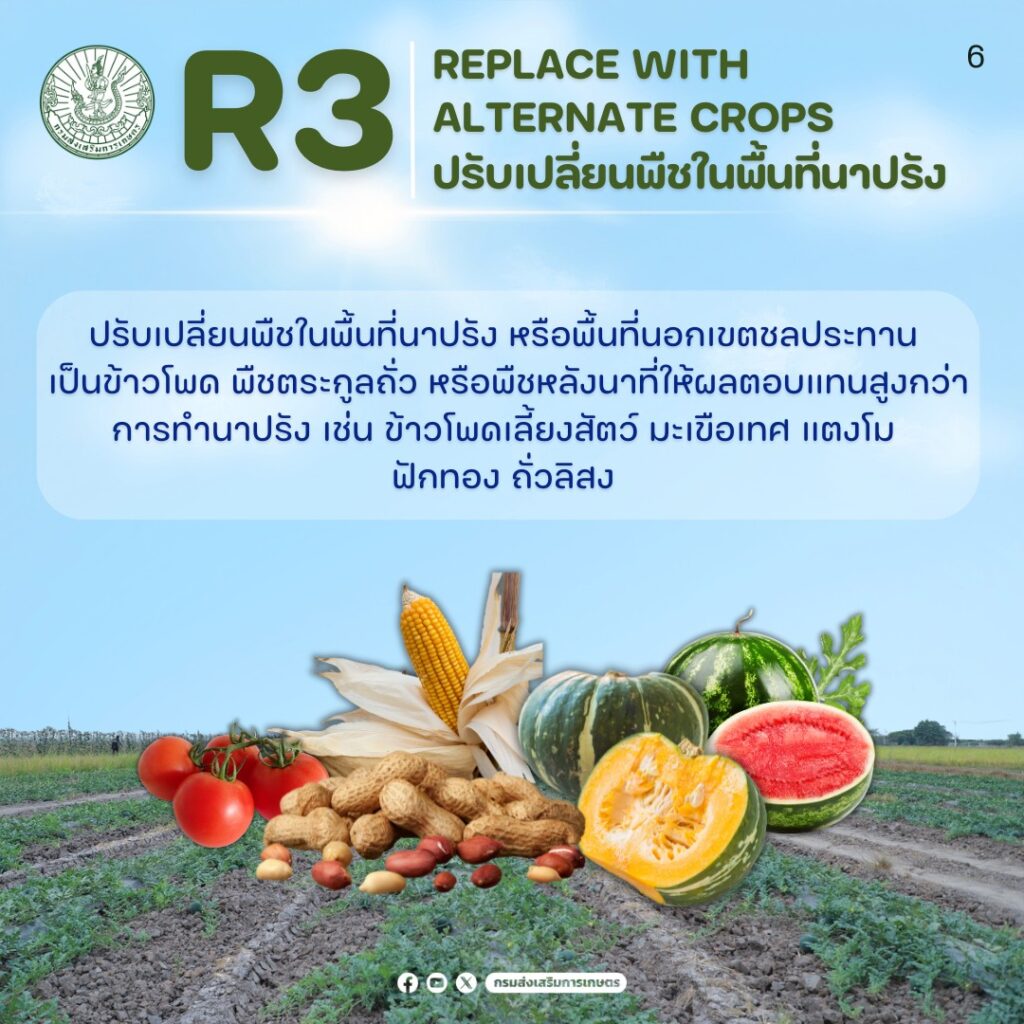 ลดต้นทุนการผลิตและสร้างรายได้ให้เกษตรกรด้วย "3R Model"