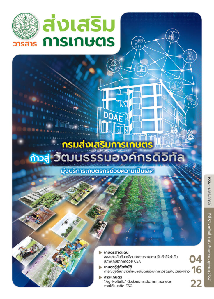 วารสารส่งเสริมการเกษตร ปีที่ 57 ฉบับที่ 318 (กันยายน – ตุลาคม 2567) วารสารส่งเสริมการเกษตร ปีที่ 57 ฉบับที่ 318 (กันยายน – ตุลาคม 2567)