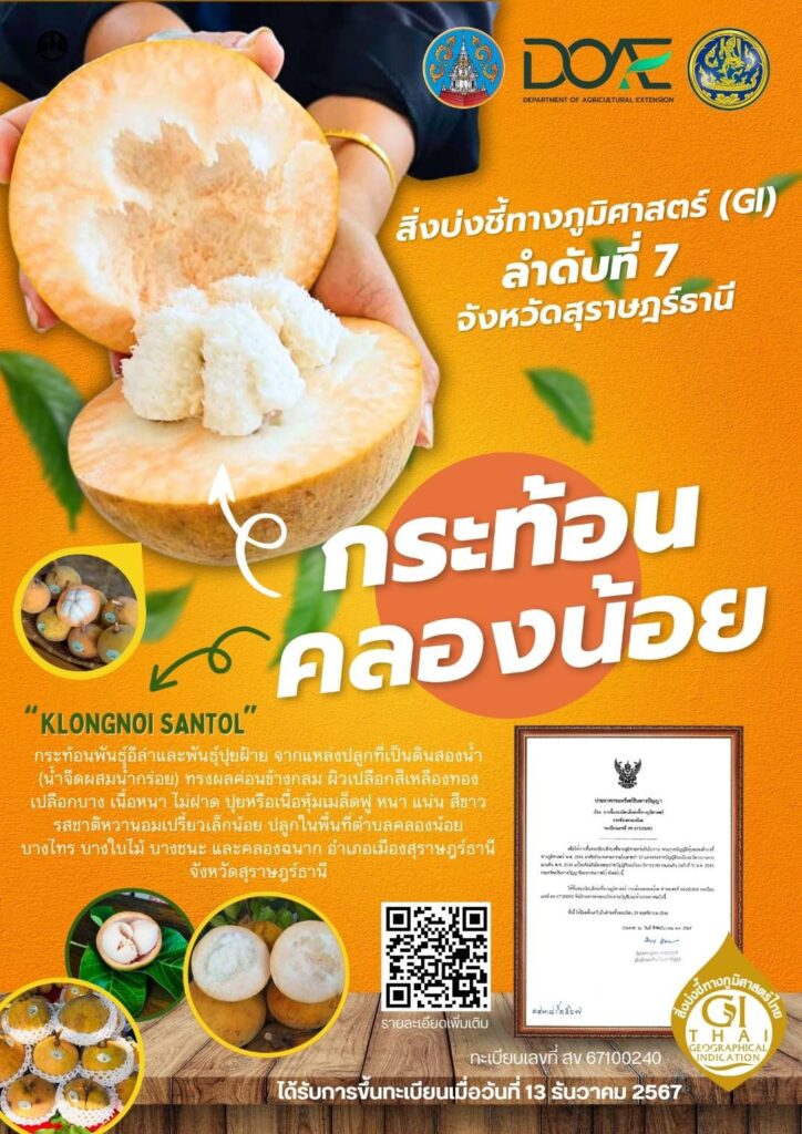 กระท้อน คลองน้อย กระท้อน คลองน้อย