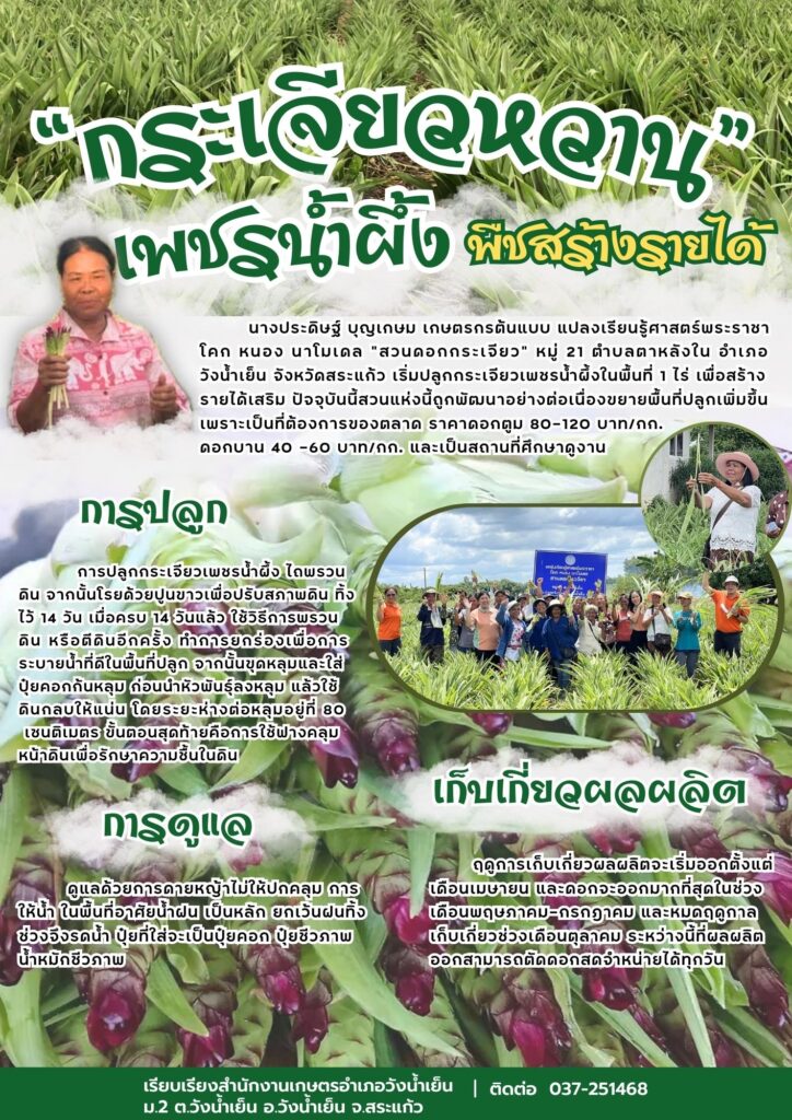 "กระเจียวหวาน" เพชรน้ำผึ้ง พืชสร้างรายได้