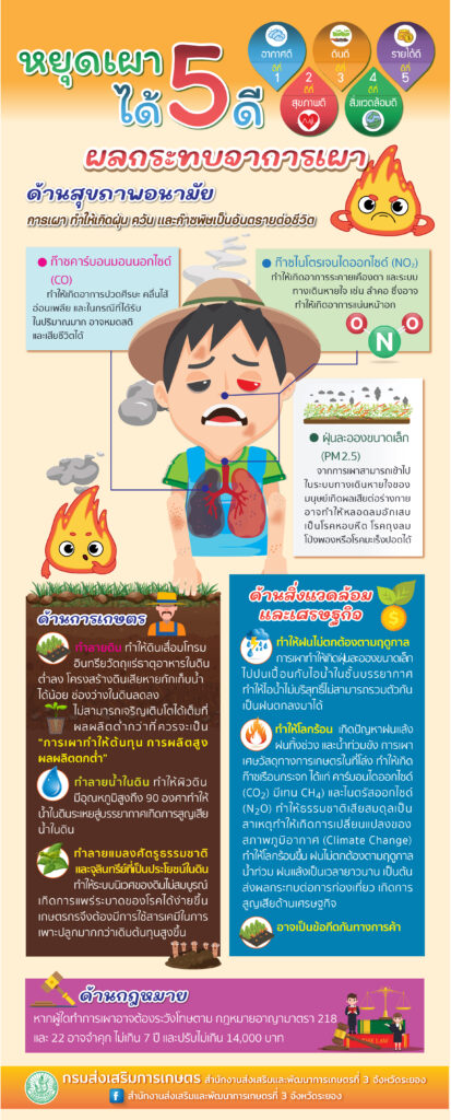 หยุดเผาได้ 5 ดี หยุดเผาได้ 5 ดี