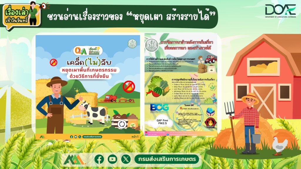 เรื่องเล่าเช้าวันจันทร์ “หยุดเผา สร้างรายได้”