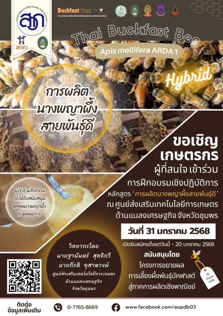 อบรมหลักสูตร "การผลิตนางพญาผึ้งสายพันธุ์ดี" อบรมหลักสูตร "การผลิตนางพญาผึ้งสายพันธุ์ดี"
