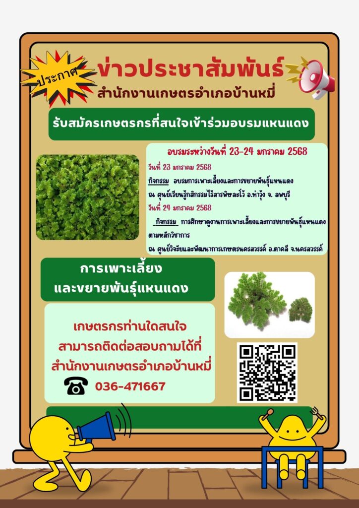 รับสมัครเกษตรกรเข้าร่วมอบรมแหนแดง รับสมัครเกษตรกรเข้าร่วมอบรมแหนแดง