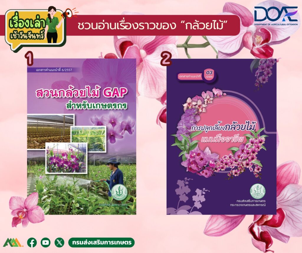 เรื่องเล่าเช้าวันจันทร์ "กล้วยไม้"