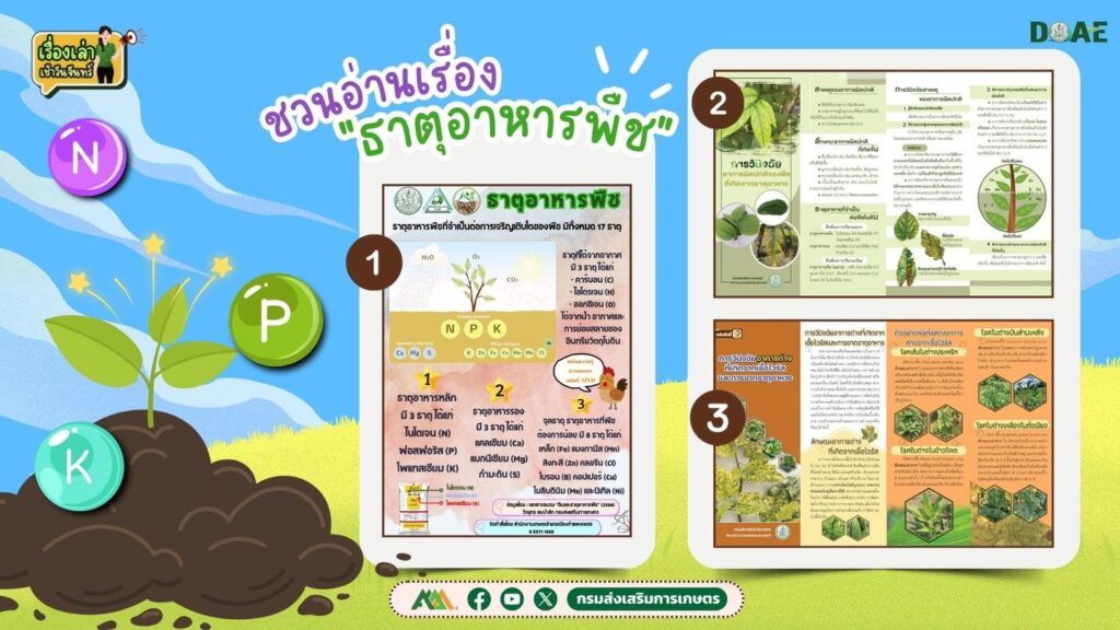 เรื่องเล่าเช้าวันจันทร์ "ธาตุอาหารพืช"