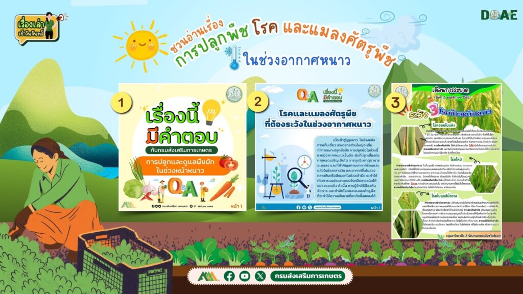 เรื่องเล่าเช้าวันจันทร์ "การปลูกพืช โรค และแมลงศัตรูพืช ในช่วงอากาศหนาว" เรื่องเล่าเช้าวันจันทร์ "การปลูกพืช โรค และแมลงศัตรูพืช ในช่วงอากาศหนาว"