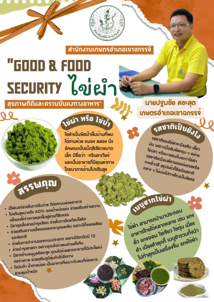 "GOOD & FOOD SECURITY" ไข่ผำ สุขภาพที่ดีและความมั่นคงทางอาหาร