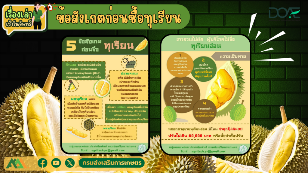 เรื่องเล่าเช้าวันจันทร์ "ข้อสังเกตก่อนซื้อทุเรียน" เรื่องเล่าเช้าวันจันทร์ "ข้อสังเกตก่อนซื้อทุเรียน"