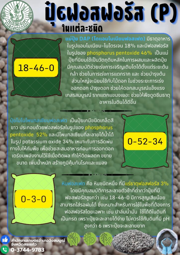 ปุ๋ยฟอสฟอรัส (P) ปุ๋ยฟอสฟอรัส (P)