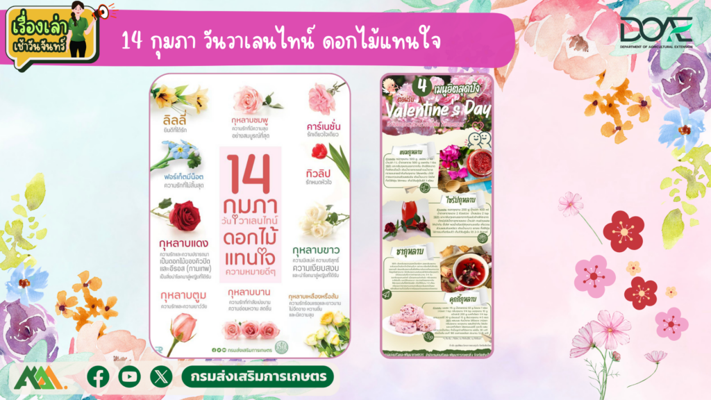 เรื่องเล่าเช้าวันจันทร์ "14 กุมภา วันวาเลนไทน์ ดอกไม้แทนใจ" เรื่องเล่าเช้าวันจันทร์ "14 กุมภา วันวาเลนไทน์ ดอกไม้แทนใจ"