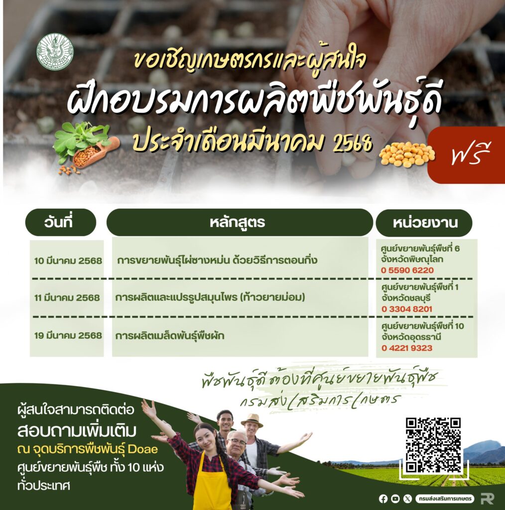 ฝึกอบรมการผลิตพืชพันธุ์ดี ประจำเดือนมีนาคม 2568 ฟรี ฝึกอบรมการผลิตพืชพันธุ์ดี ประจำเดือนมีนาคม 2568 ฟรี