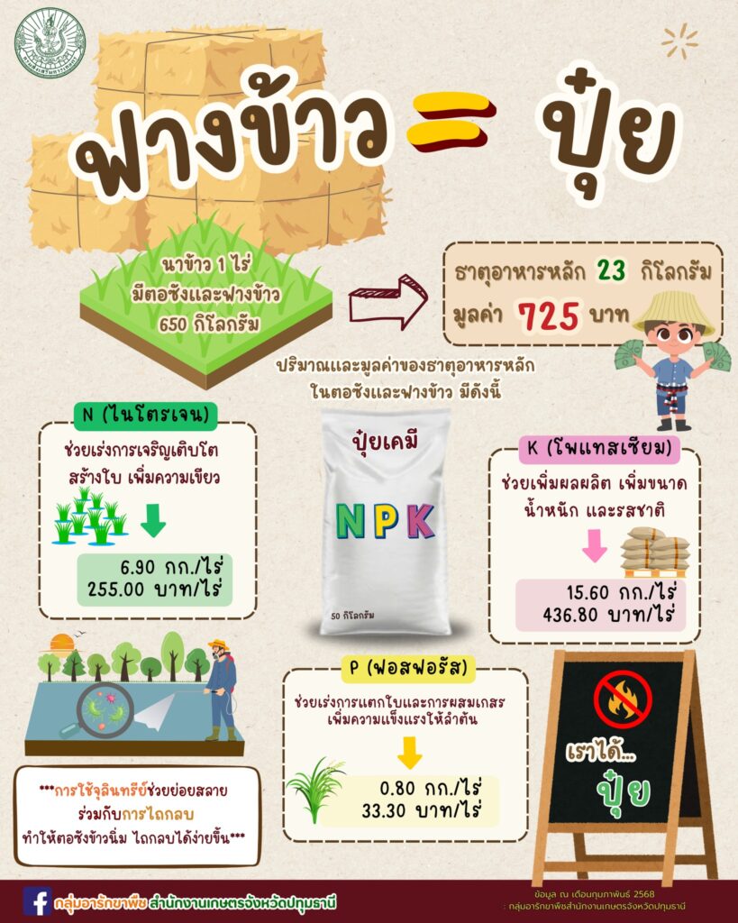 ฟางข้าว=ปุ๋ย ฟางข้าว=ปุ๋ย