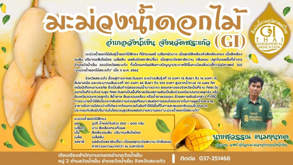 มะม่วงน้ำดอกไม้ อำเภอวังน้ำเย็น จังหวัดสระแก้ว (GI) มะม่วงน้ำดอกไม้ อำเภอวังน้ำเย็น จังหวัดสระแก้ว (GI)
