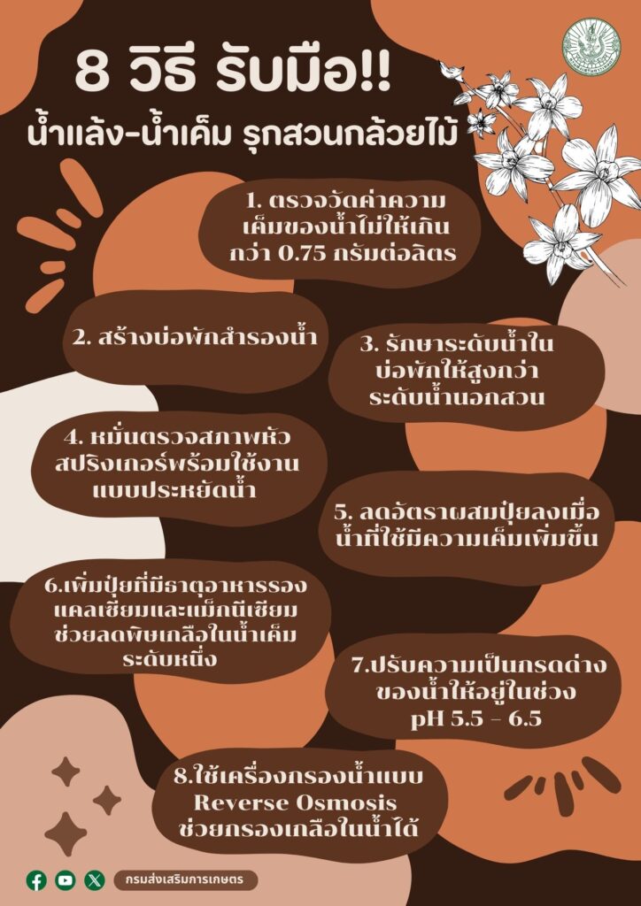 8 วิธี รับมือ!! น้ำแล้ง-น้ำเค็ม รุกสวนกล้วยไม้ 8 วิธี รับมือ!! น้ำแล้ง-น้ำเค็ม รุกสวนกล้วยไม้