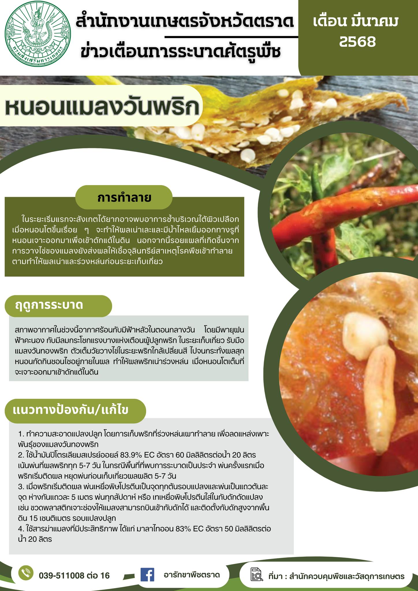 ศูนย์วิทยบริการเพื่อส่งเสริมการเกษตร - version - 2