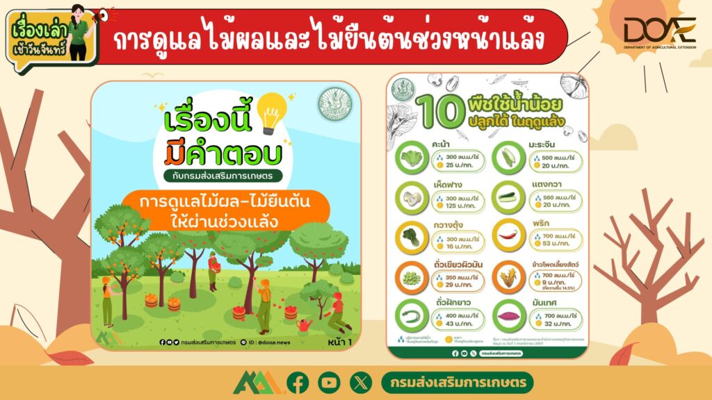 เรื่องเล่าเช้าวันจันทร์ "การดูแลไม้ผลและไม้ยืนต้นช่วงหน้าแล้ง" เรื่องเล่าเช้าวันจันทร์ "การดูแลไม้ผลและไม้ยืนต้นช่วงหน้าแล้ง"