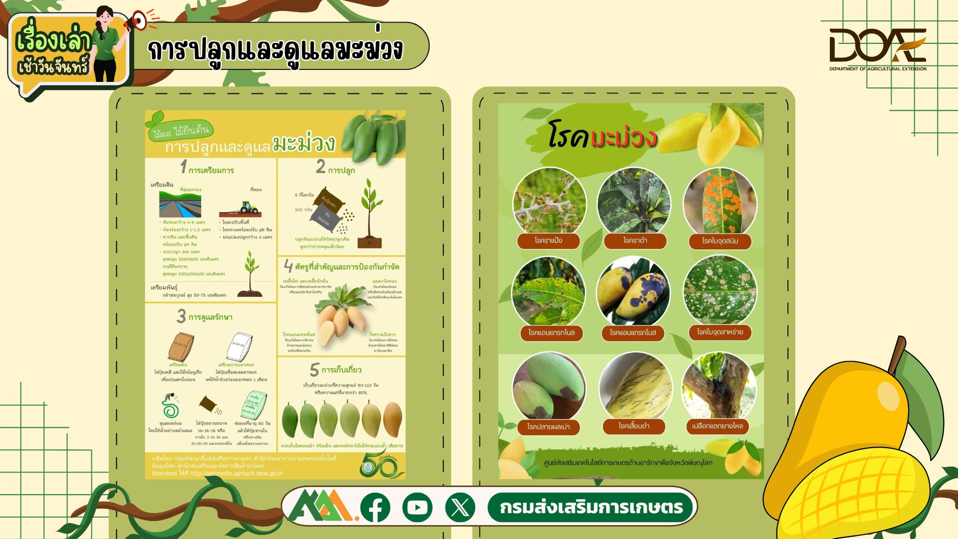 เรื่องเล่าเช้าวันจันทร์
