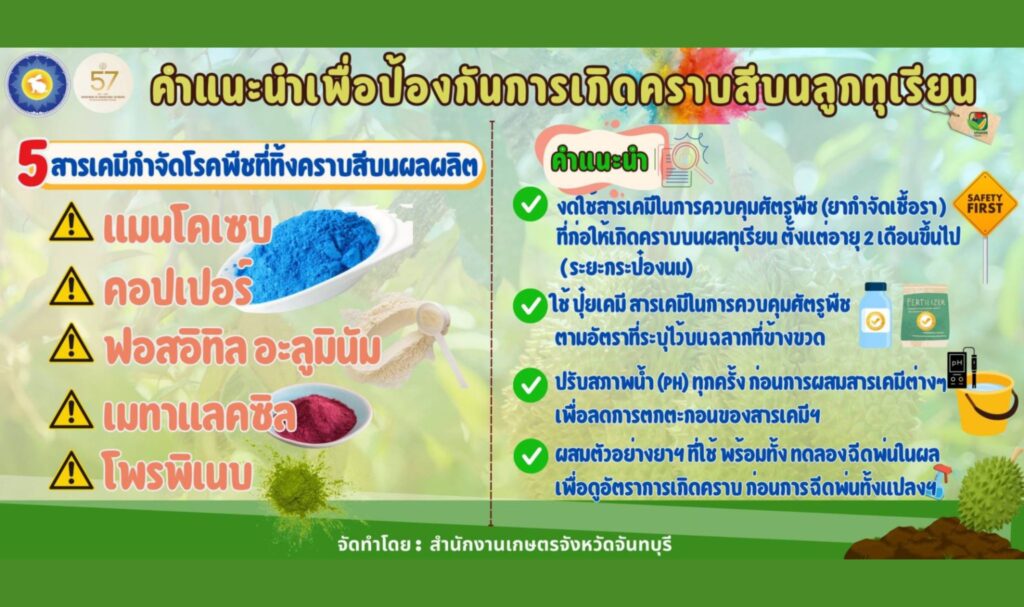 การเกิดคราบสีบนลูกทุเรียน