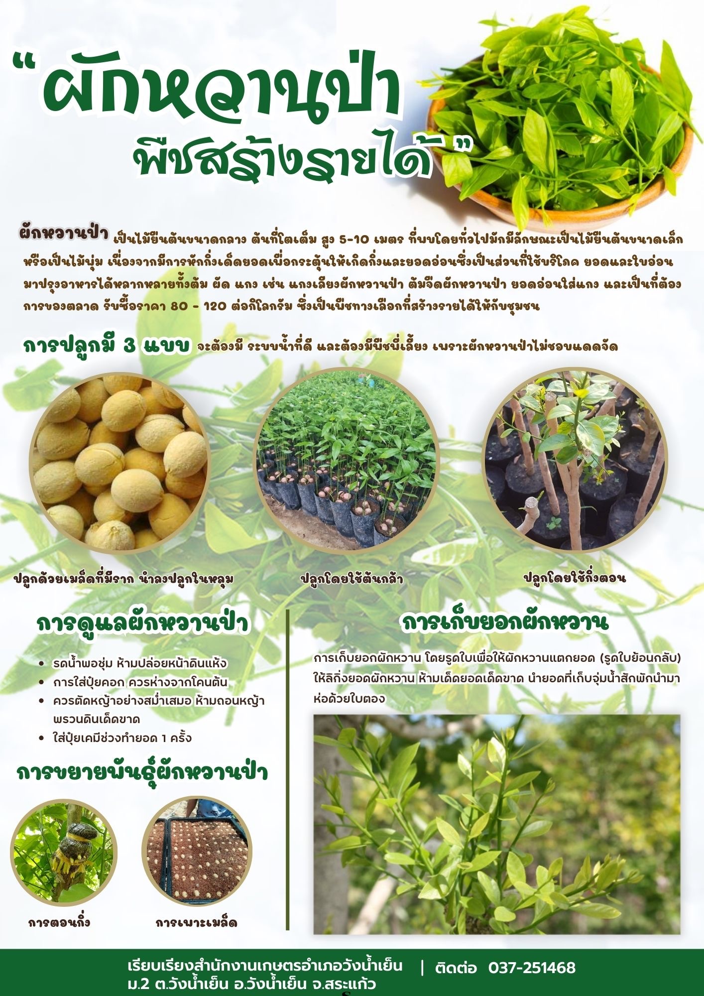 Infographic