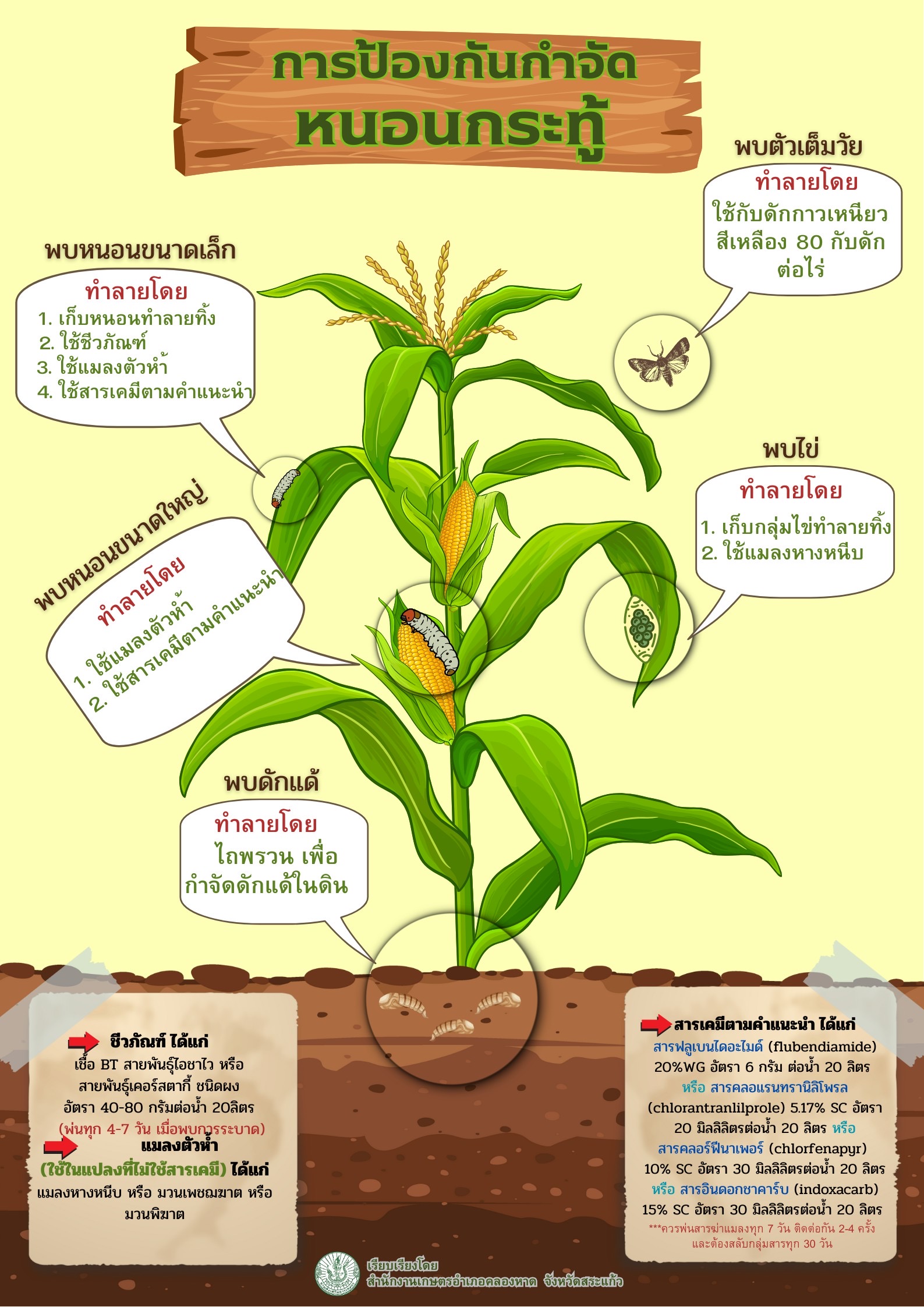 การป้องกันกำจัดหนอนกระทู้ การป้องกันกำจัดหนอนกระทู้