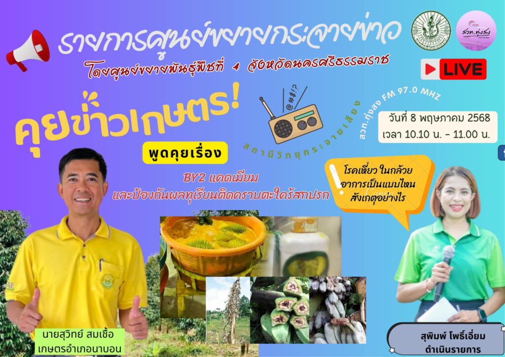 BY2 แคดเมียมและป้องกันผลทุเรียนติดคราบตะไคร่สกปรก BY2 แคดเมียมและป้องกันผลทุเรียนติดคราบตะไคร่สกปรก