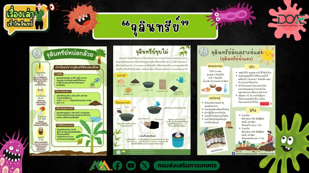 เรื่องเล่าเช้าวันจันทร์ "จุลินทรีย์" เรื่องเล่าเช้าวันจันทร์ "จุลินทรีย์"