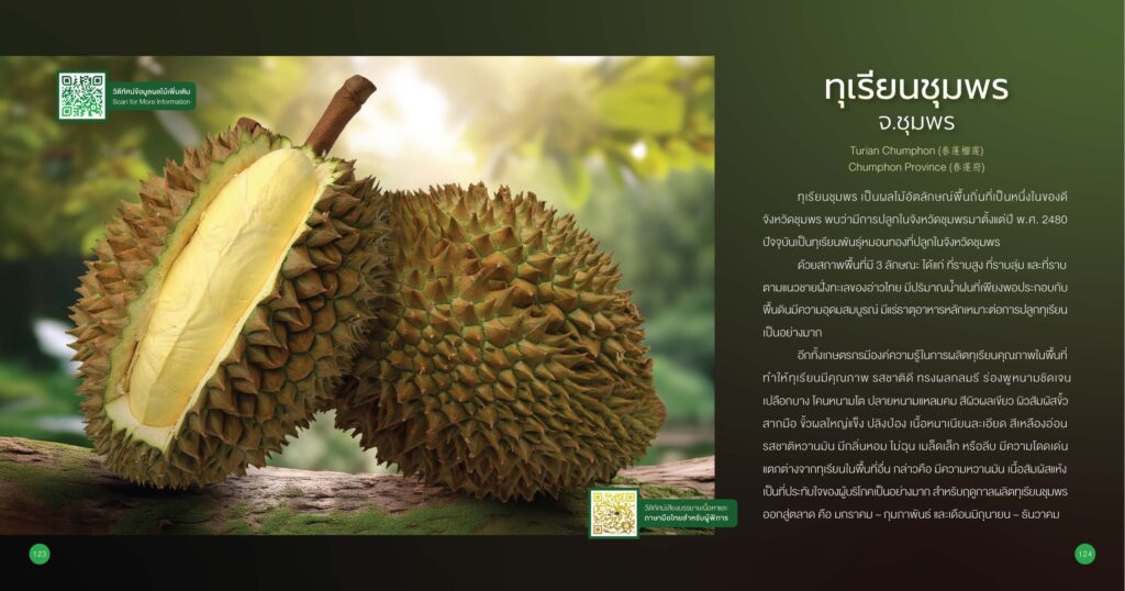 ทุเรียนชุมพร จ.ชุมพร GI ทุเรียนชุมพร จ.ชุมพร GI