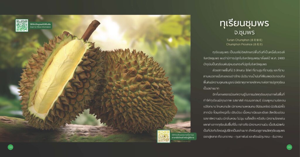 เรื่องเล่าเช้าวันจันทร์ "รู้จักทุเรียน GI" เรื่องเล่าเช้าวันจันทร์ "รู้จักทุเรียน GI"