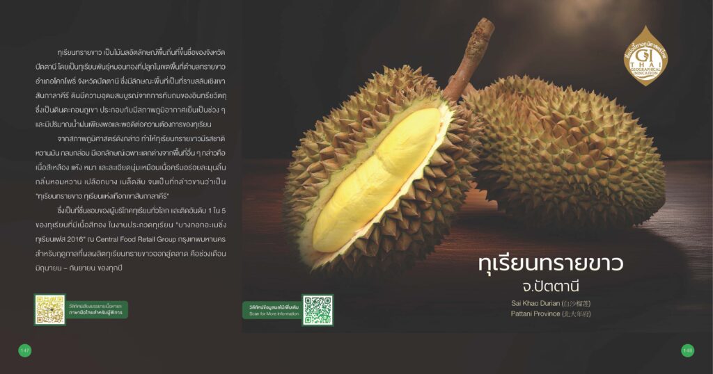เรื่องเล่าเช้าวันจันทร์ "รู้จักทุเรียน GI" เรื่องเล่าเช้าวันจันทร์ "รู้จักทุเรียน GI"