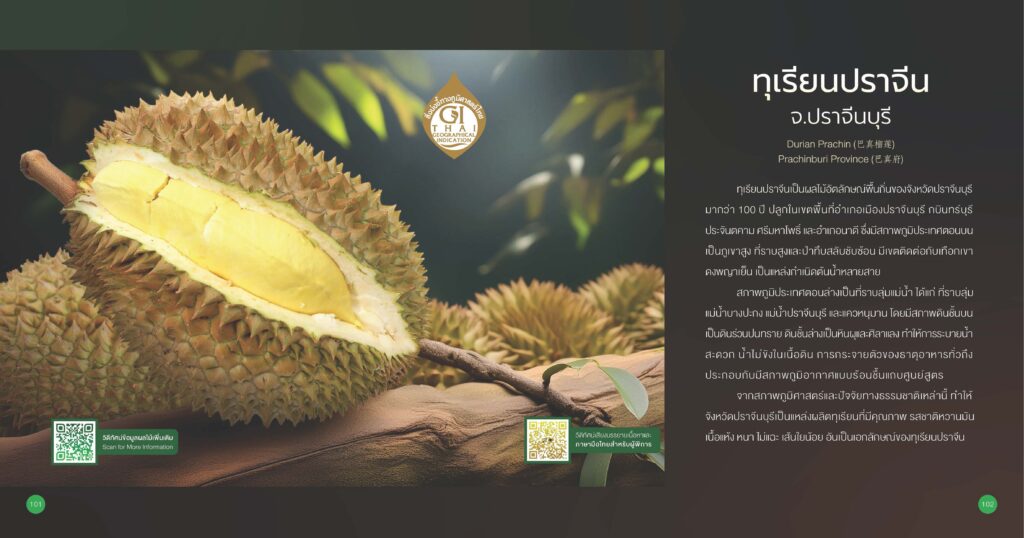 ทุเรียนปราจีน จ.ปราจีนบุรี GI