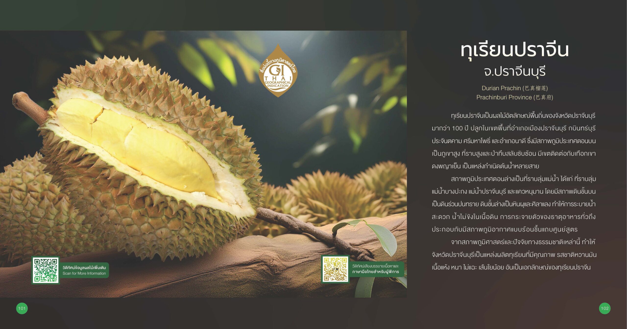 ทุเรียนปราจีน จ.ปราจีนบุรี GI