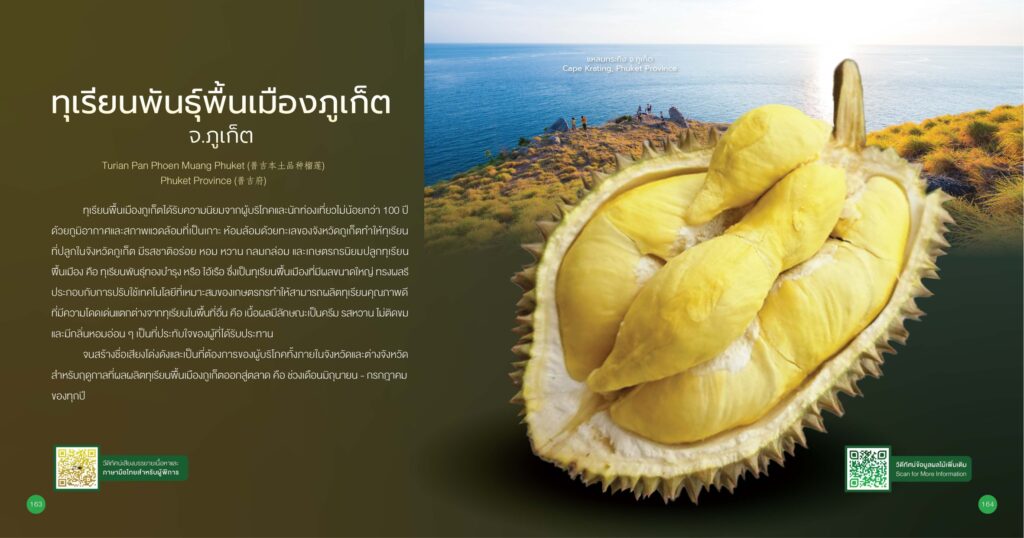 เรื่องเล่าเช้าวันจันทร์ "รู้จักทุเรียน GI" เรื่องเล่าเช้าวันจันทร์ "รู้จักทุเรียน GI"