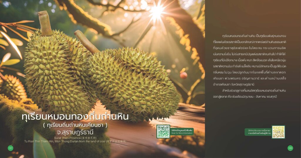 เรื่องเล่าเช้าวันจันทร์ "รู้จักทุเรียน GI" เรื่องเล่าเช้าวันจันทร์ "รู้จักทุเรียน GI"
