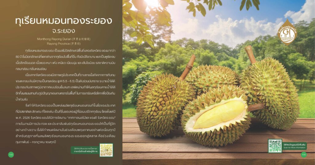ทุเรียนหมอนทองระยอง จ.ระยอง GI ทุเรียนหมอนทองระยอง จ.ระยอง GI