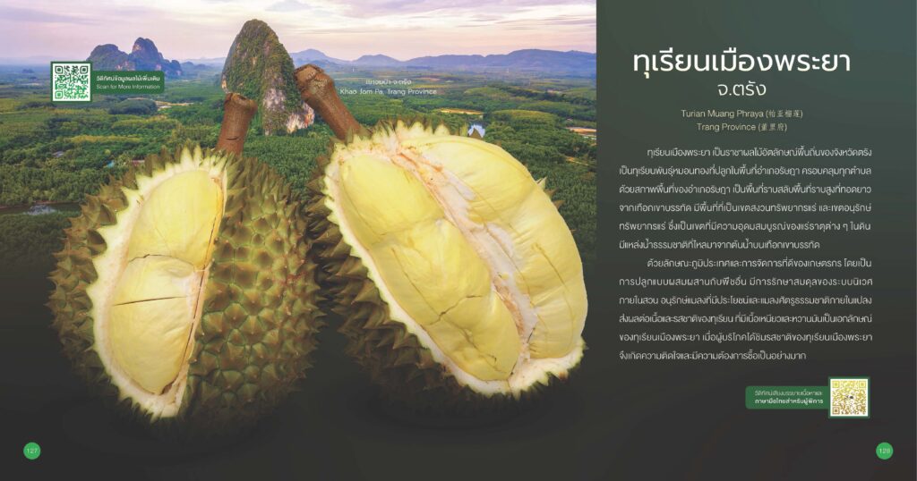เรื่องเล่าเช้าวันจันทร์ "รู้จักทุเรียน GI" เรื่องเล่าเช้าวันจันทร์ "รู้จักทุเรียน GI"