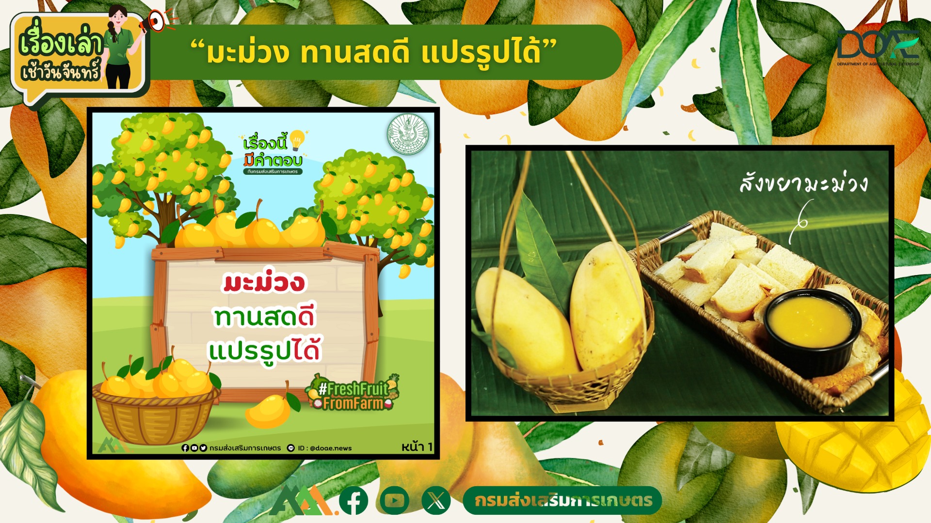เรื่องเล่าเช้าวันจันทร์