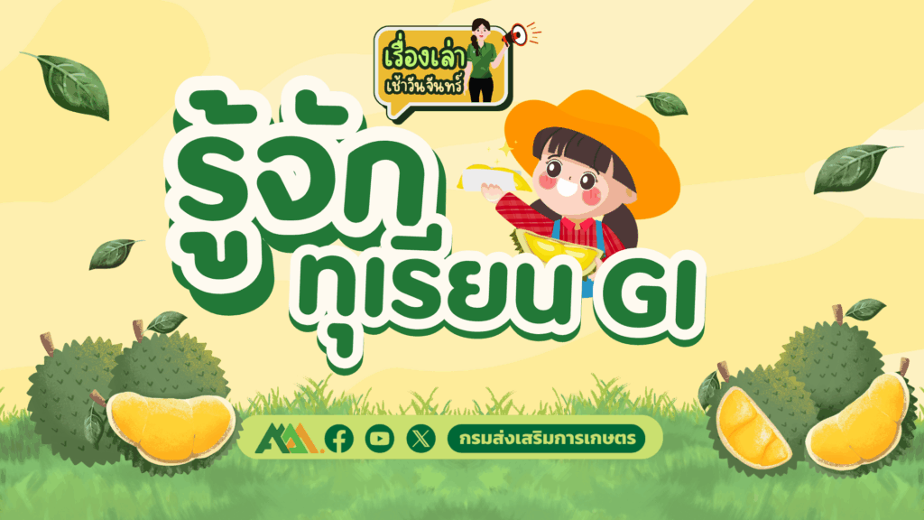 เรื่องเล่าเช้าวันจันทร์ "รู้จักทุเรียน GI" เรื่องเล่าเช้าวันจันทร์ "รู้จักทุเรียน GI"