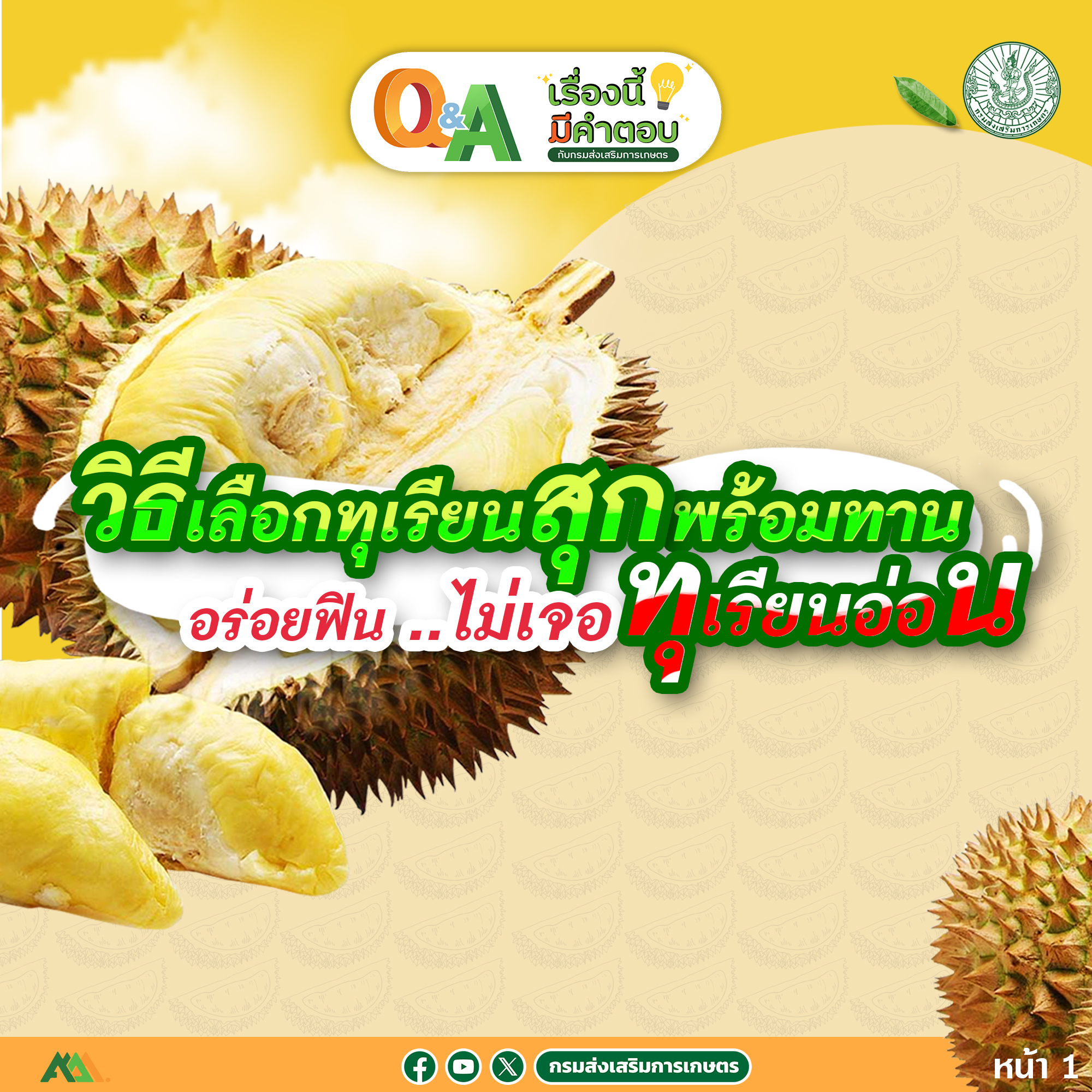 57. วิธีเลือกทุเรียนสุกพร้อมทาน อร่อยฟิน..ไม่เจอทุเรียนอ่อน 57. วิธีเลือกทุเรียนสุกพร้อมทาน อร่อยฟิน..ไม่เจอทุเรียนอ่อน