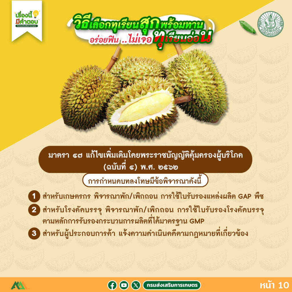 57. วิธีเลือกทุเรียนสุกพร้อมทาน อร่อยฟิน..ไม่เจอทุเรียนอ่อน 57. วิธีเลือกทุเรียนสุกพร้อมทาน อร่อยฟิน..ไม่เจอทุเรียนอ่อน