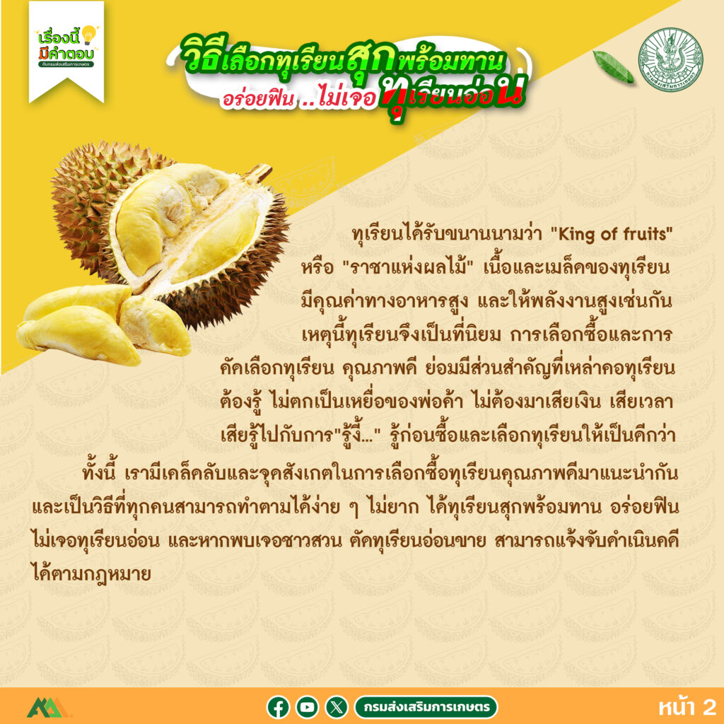 57. วิธีเลือกทุเรียนสุกพร้อมทาน อร่อยฟิน..ไม่เจอทุเรียนอ่อน 57. วิธีเลือกทุเรียนสุกพร้อมทาน อร่อยฟิน..ไม่เจอทุเรียนอ่อน