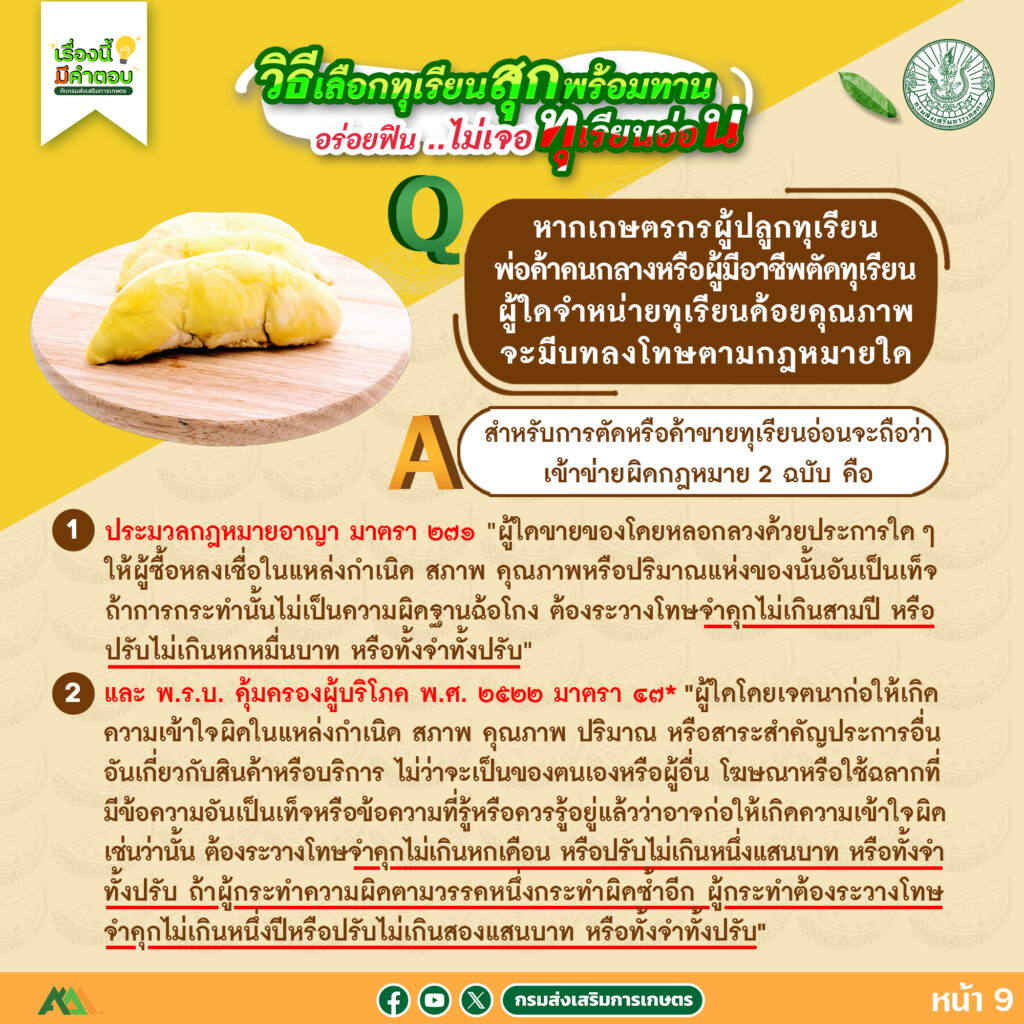 57. วิธีเลือกทุเรียนสุกพร้อมทาน อร่อยฟิน..ไม่เจอทุเรียนอ่อน 57. วิธีเลือกทุเรียนสุกพร้อมทาน อร่อยฟิน..ไม่เจอทุเรียนอ่อน