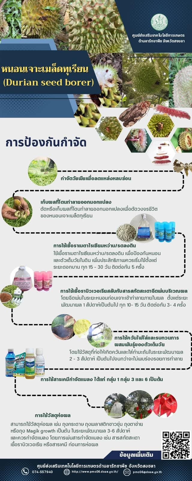 หนอนเจาะเมล็ดทุเรียน (Durian seed borer) หนอนเจาะเมล็ดทุเรียน (Durian seed borer)