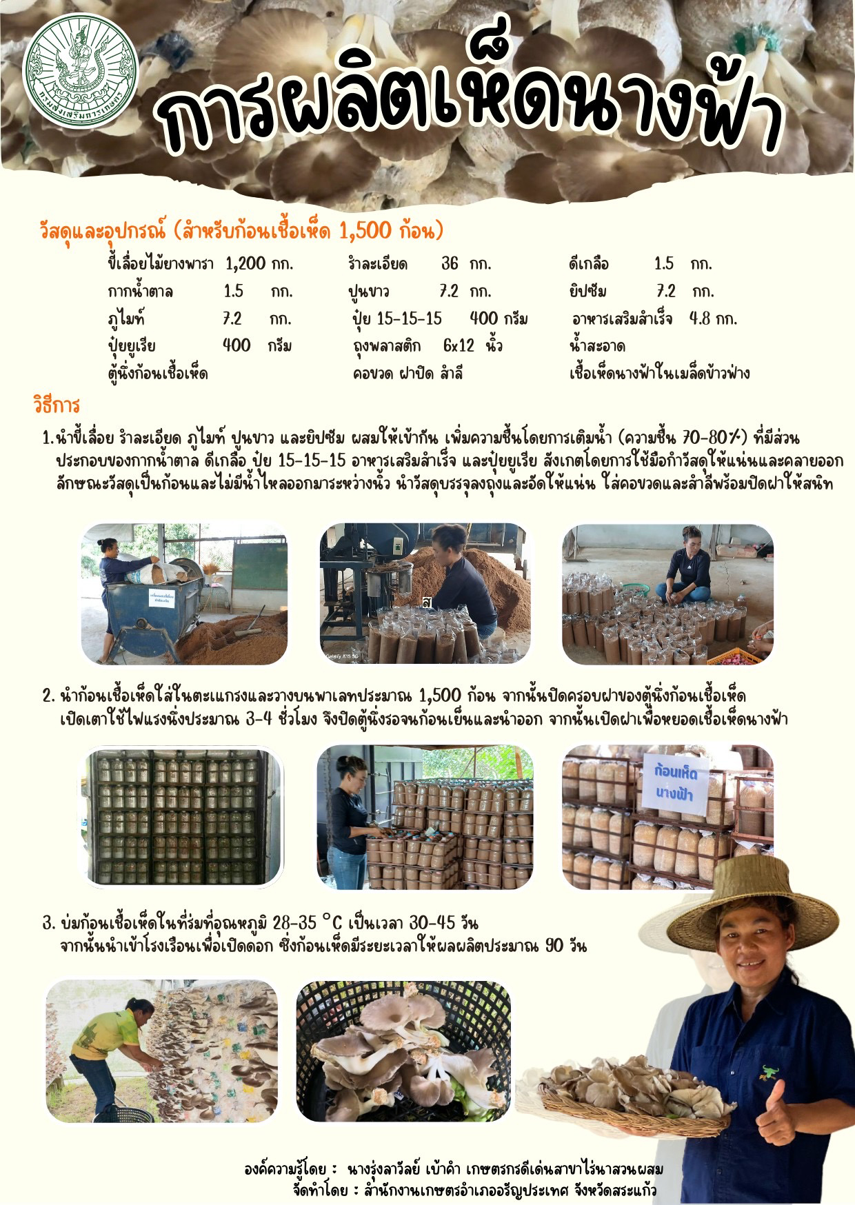 การผลิตเห็ดนางฟ้า