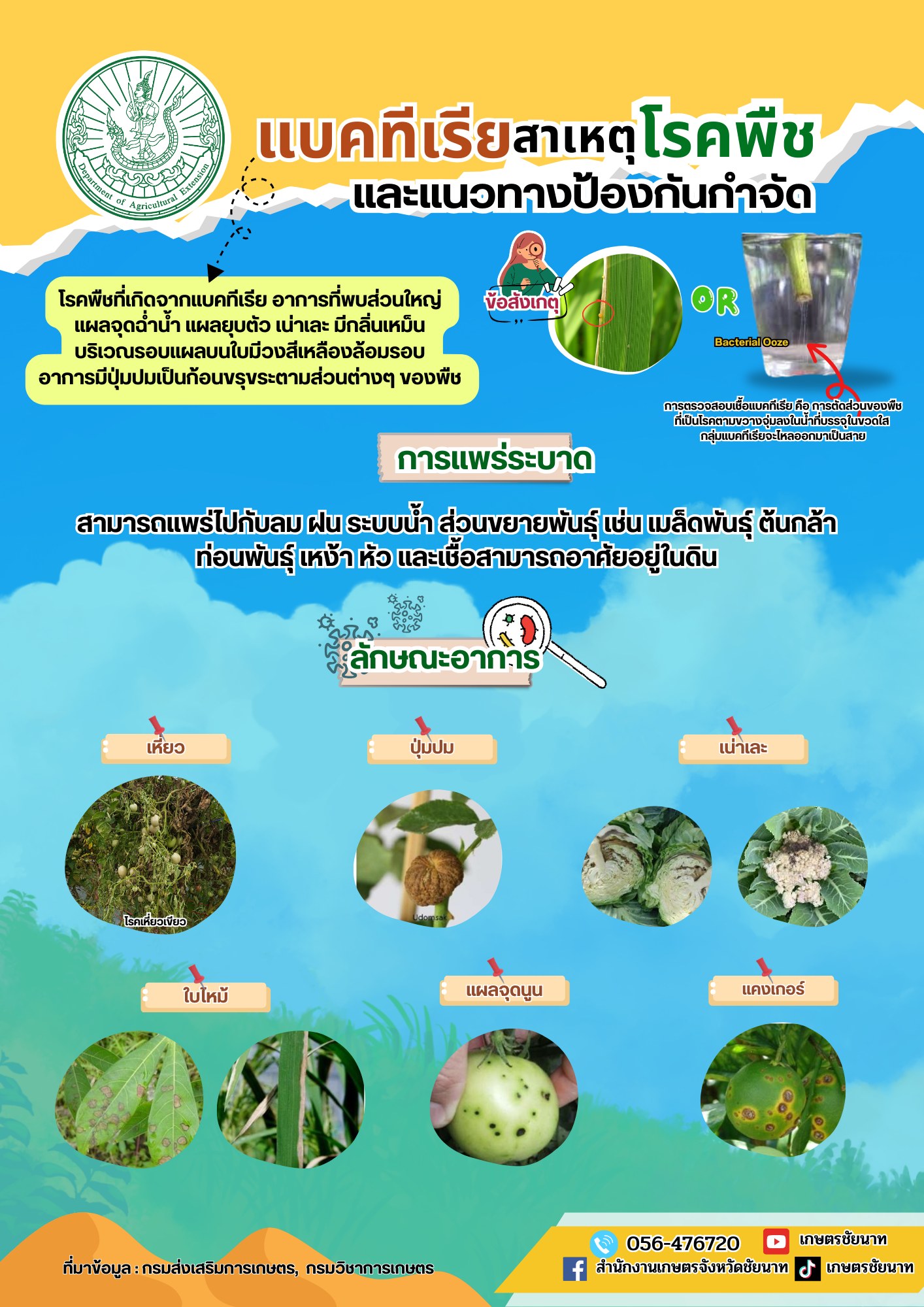 แบคทีเรีย สาเหตุโรคพืชและแนวทางป้องกันกำจัด แบคทีเรีย สาเหตุโรคพืชและแนวทางป้องกันกำจัด