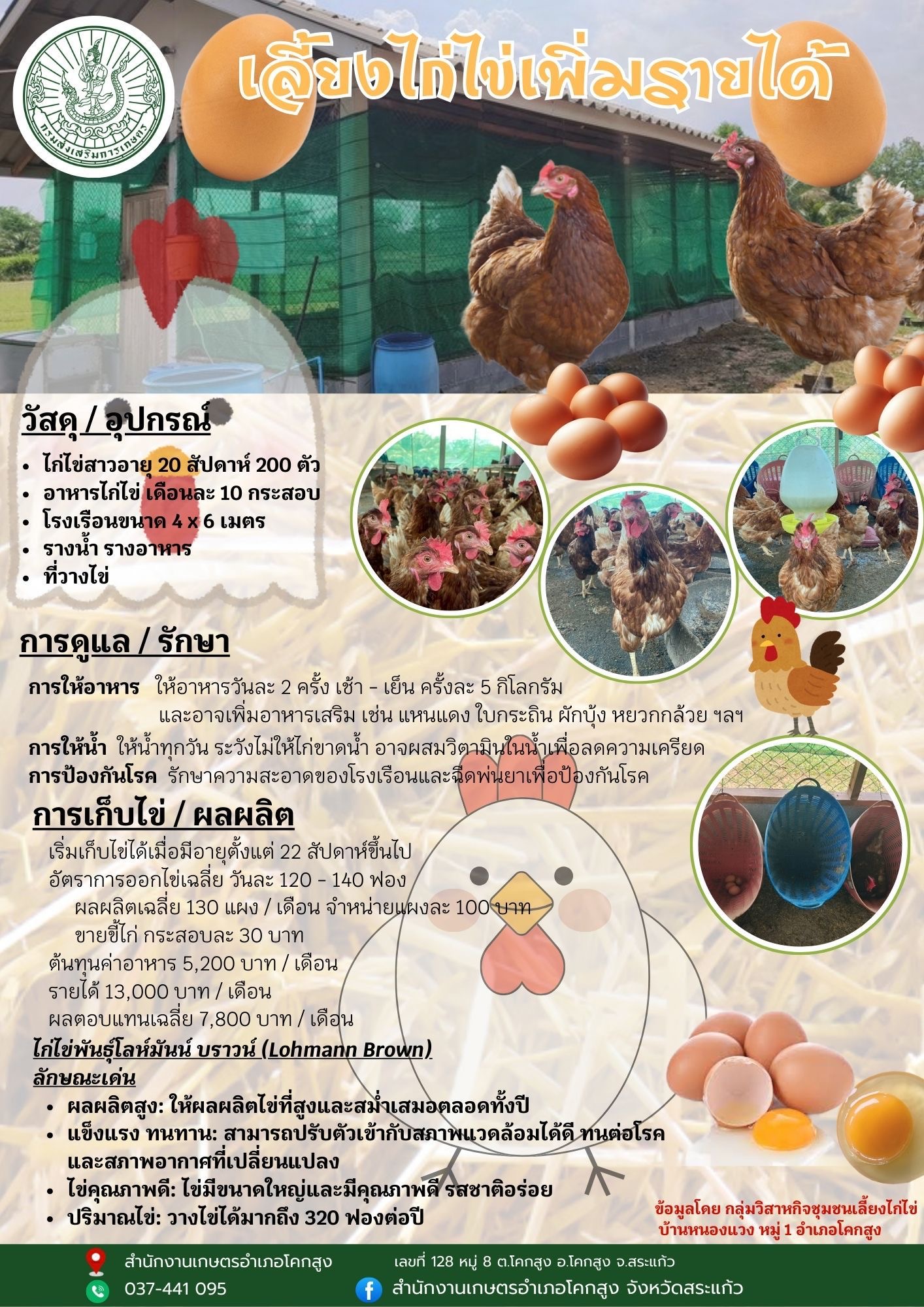เลี้ยงไก่ไข่เพิ่มรายได้ เลี้ยงไก่ไข่เพิ่มรายได้