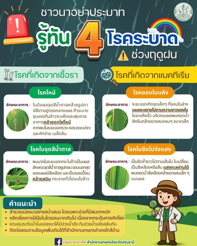 ชาวนาอย่าประมาท รู้ทัน 4 โรคระบาดช่วงฤดูฝน ชาวนาอย่าประมาท รู้ทัน 4 โรคระบาดช่วงฤดูฝน