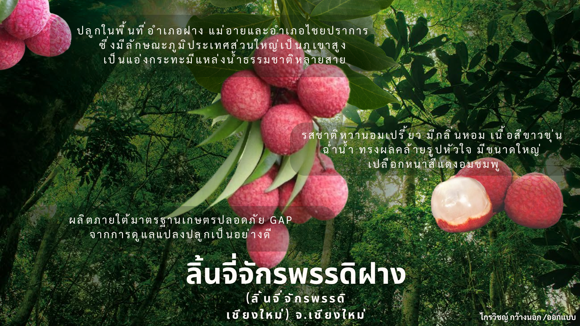 ข่าวประชาสัมพันธ์​