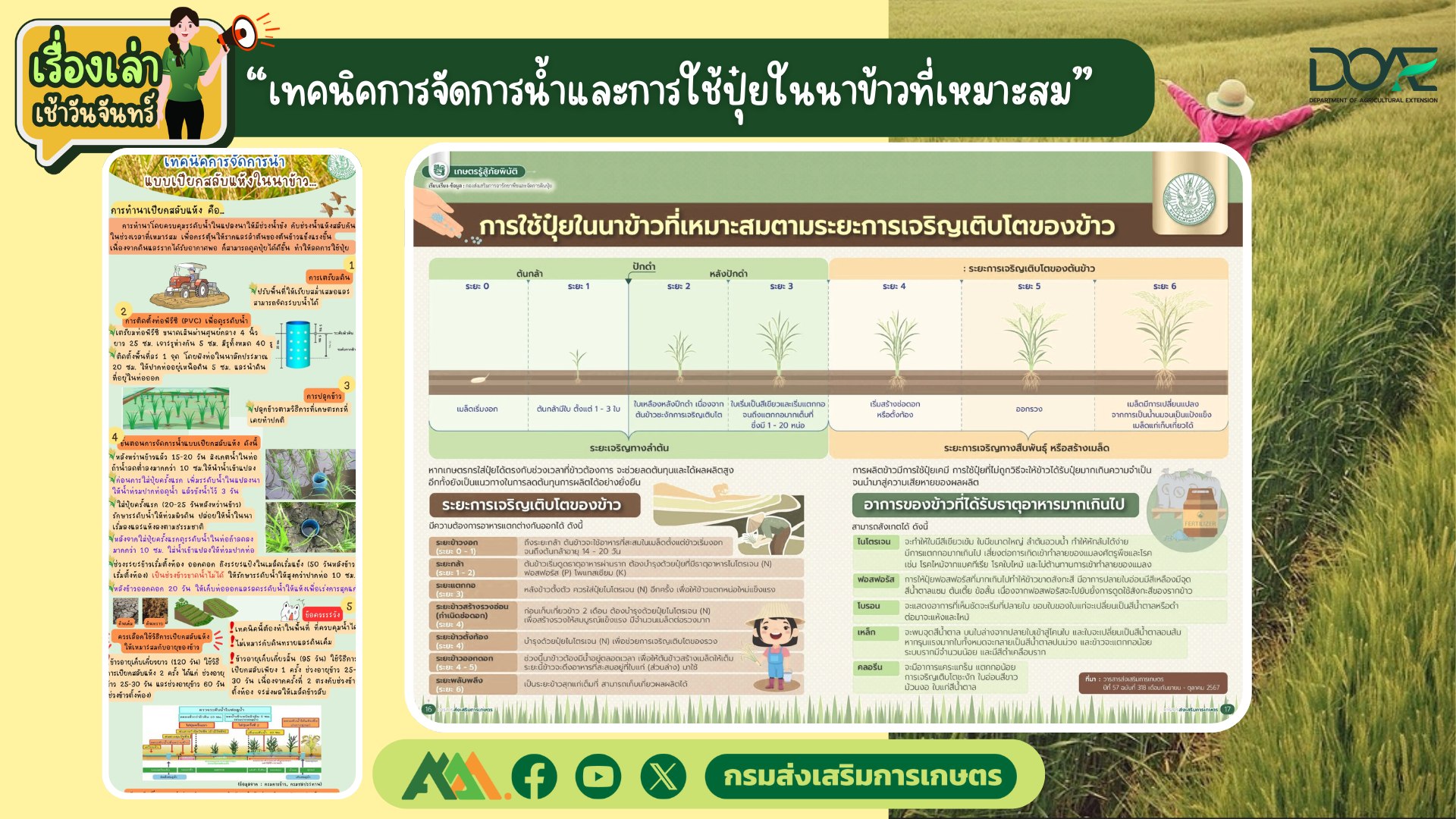 เรื่องเล่าเช้าวันจันทร์ "เทคนิคการจัดการน้ำและการใช้ปุ๋ยในนาข้าวที่เหมาะสม" เรื่องเล่าเช้าวันจันทร์ "เทคนิคการจัดการน้ำและการใช้ปุ๋ยในนาข้าวที่เหมาะสม"