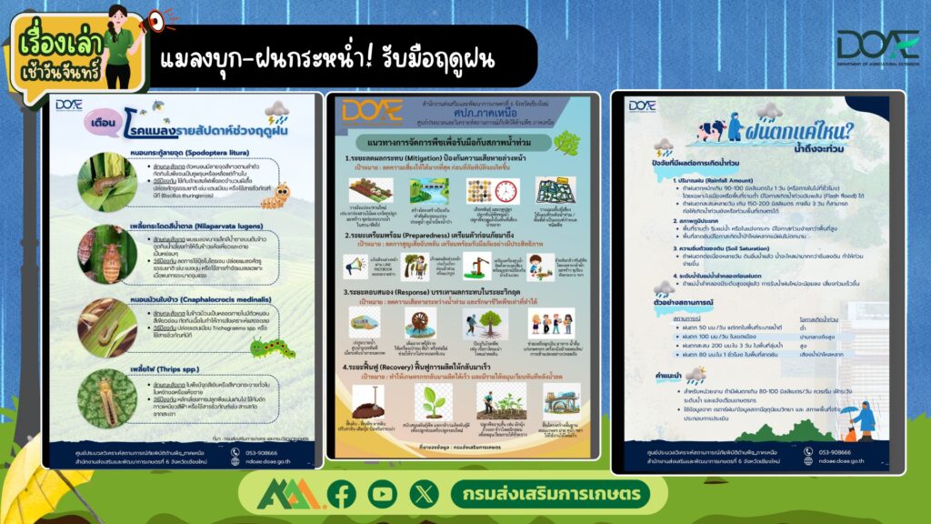 เรื่องเล่าเช้าวันจันทร์ "แมลงบุก-ฝนกระหน่ำ! รับมือฤดูฝน"